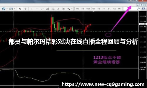 都灵与帕尔玛精彩对决在线直播全程回顾与分析